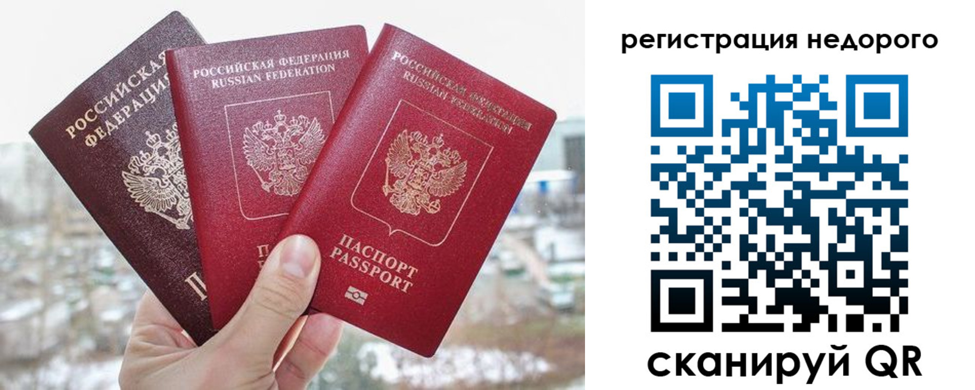 прописка гарантия в Волгограде